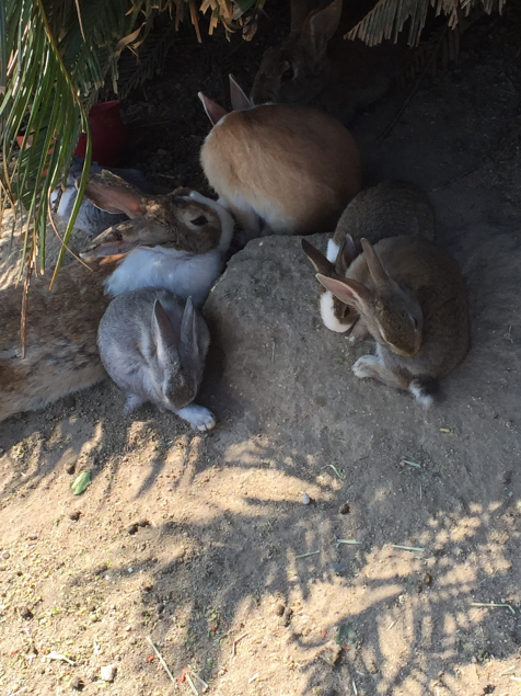 {Photo01}
