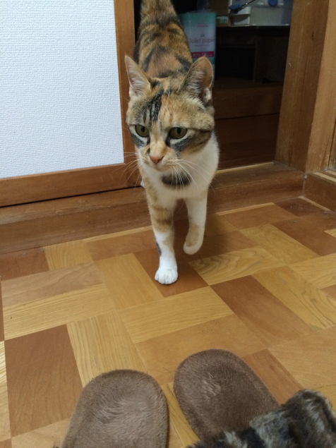 {Photo03}