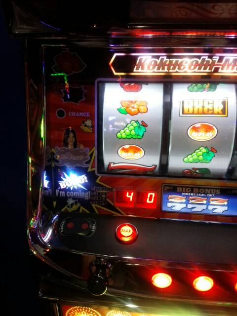 {Photo06}