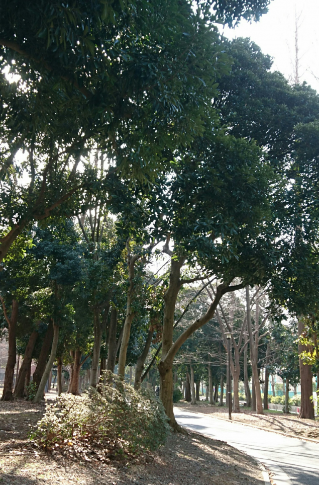 {Photo02}