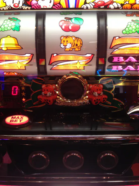 {Photo02}