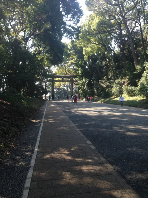 {Photo02}
