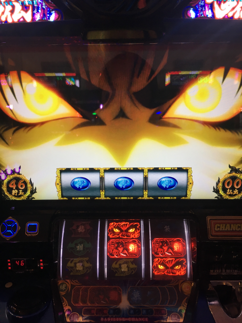 {Photo02}