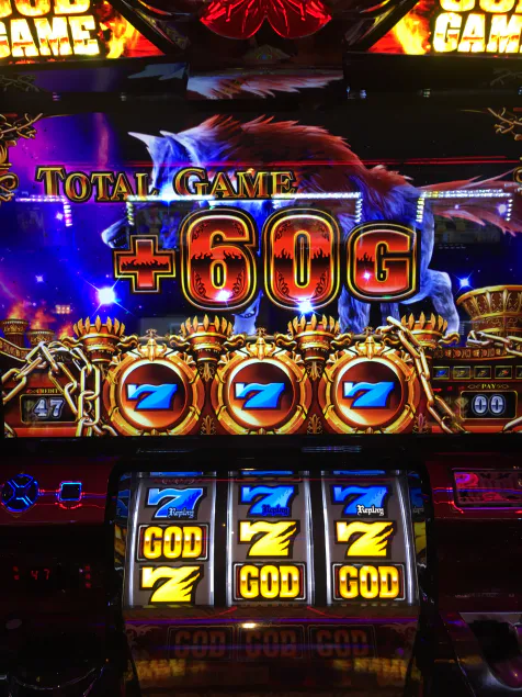 {Photo04}