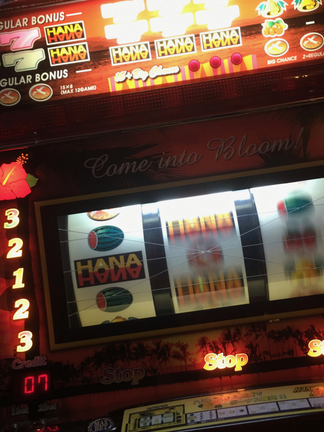 {Photo02}