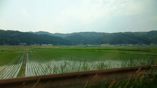 {Photo10}