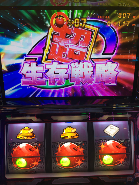 {Photo02}