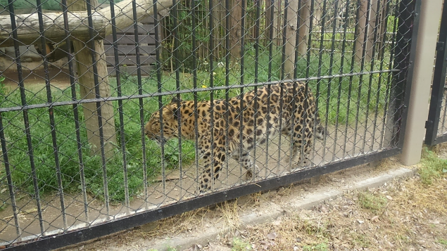 {Photo05}