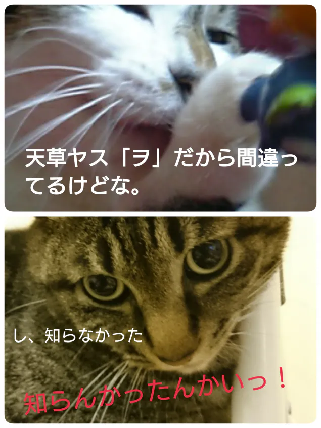 {Photo02}