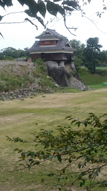 {Photo02}