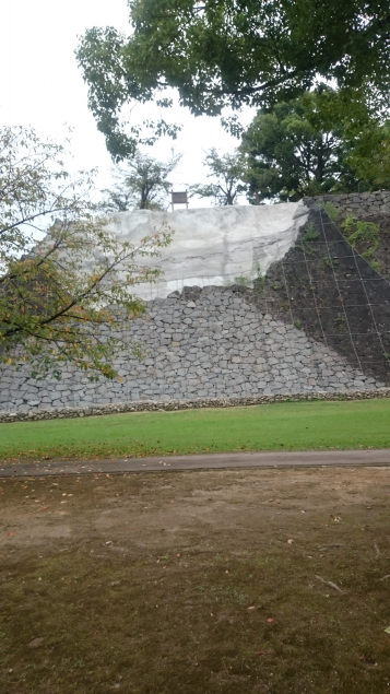 {Photo03}