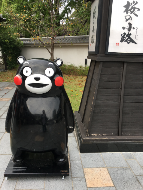 {Photo01}