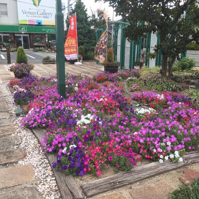 {Photo04}