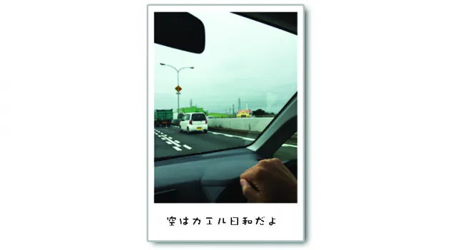 {Photo03}