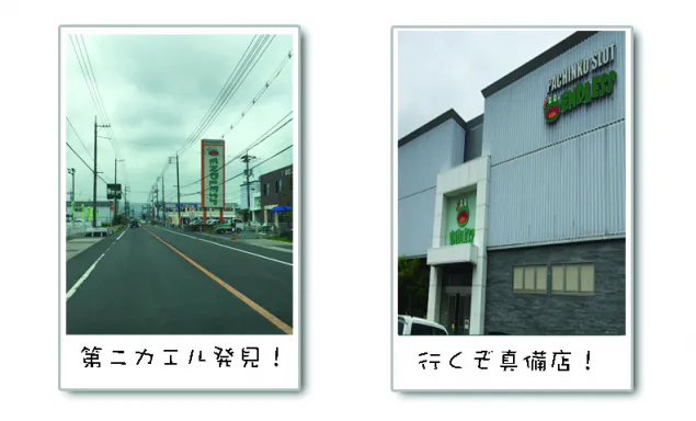 {Photo02}