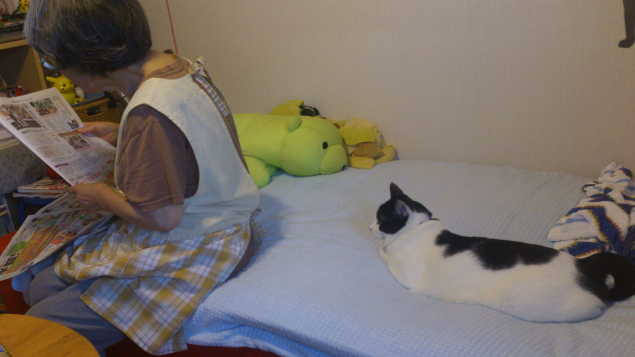 {Photo02}