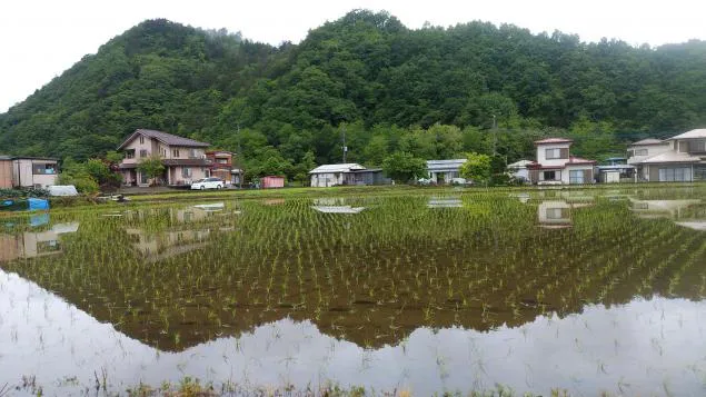 {Photo04}