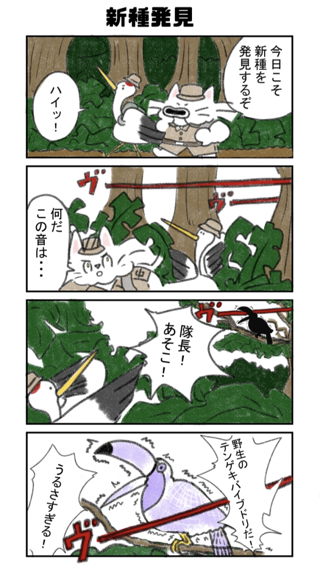 {Photo01}