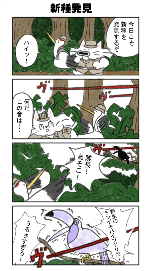 {Photo01}