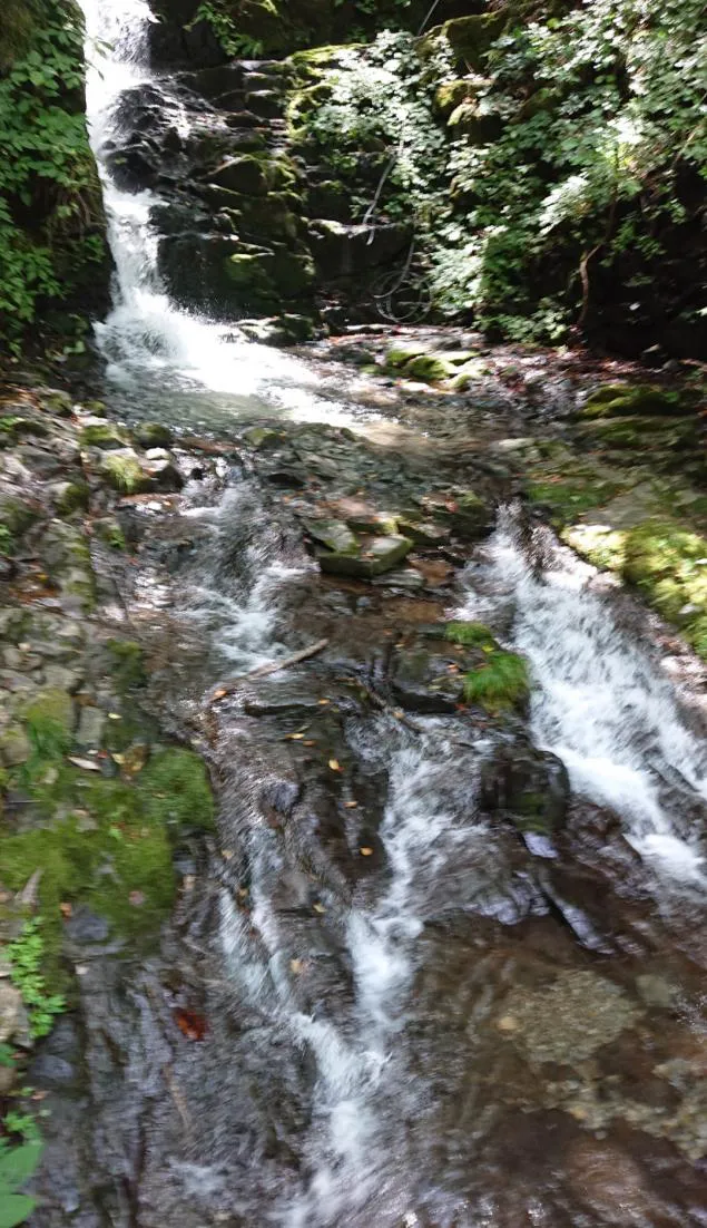 {Photo08}