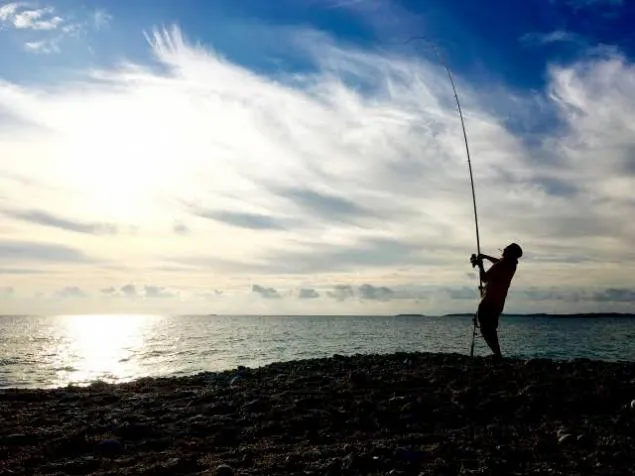 {Photo05}