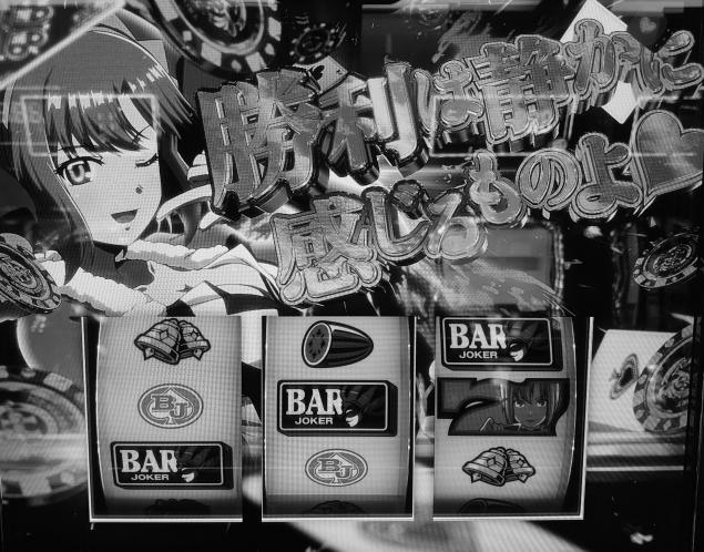 {Photo04}