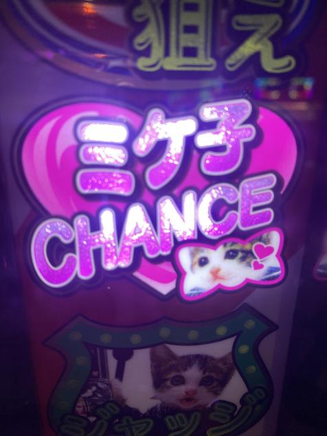{Photo04}