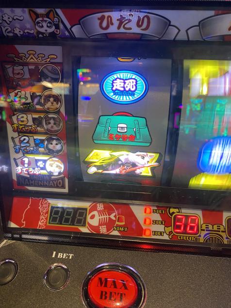 {Photo05}
