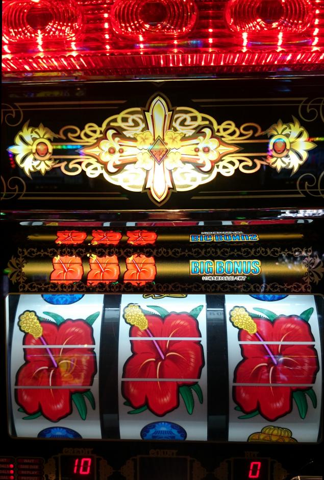 {Photo01}