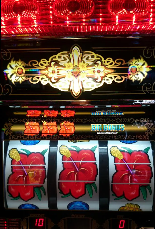 {Photo01}