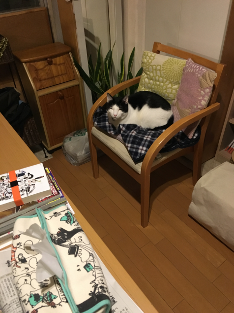 {Photo04}