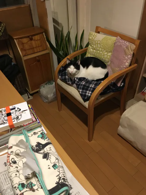 {Photo04}