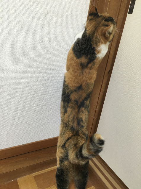 {Photo07}