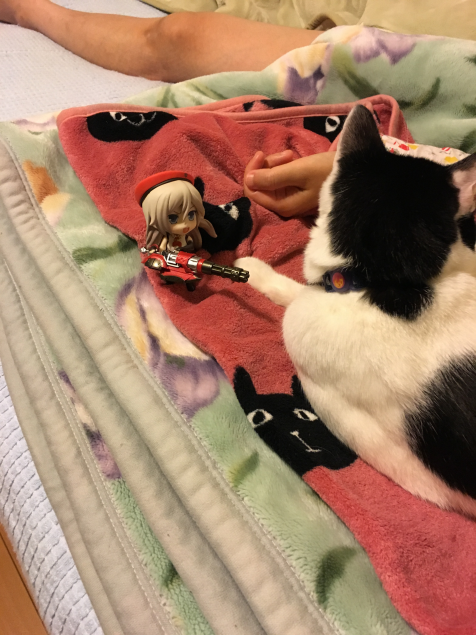 {Photo01}