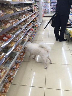 {Photo01}