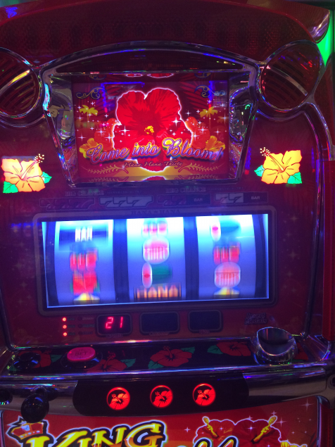 {Photo02}