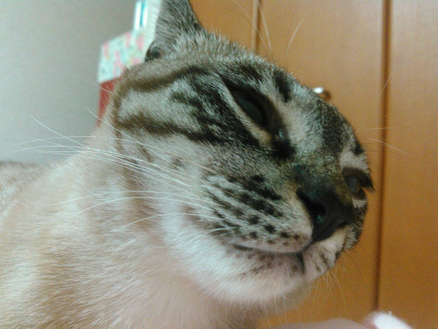 {Photo01}