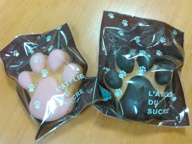 {Photo02}