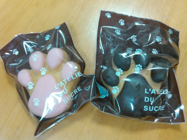{Photo02}