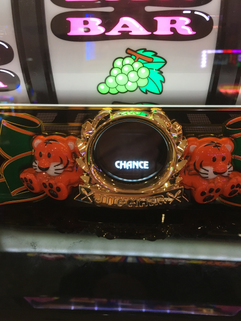 {Photo03}