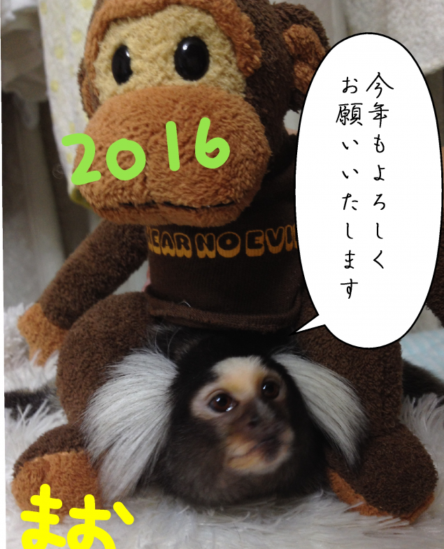 {Photo09}