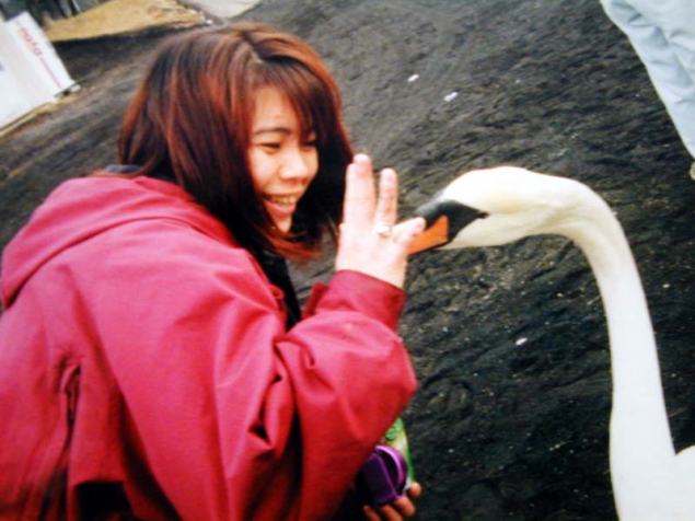{Photo03}