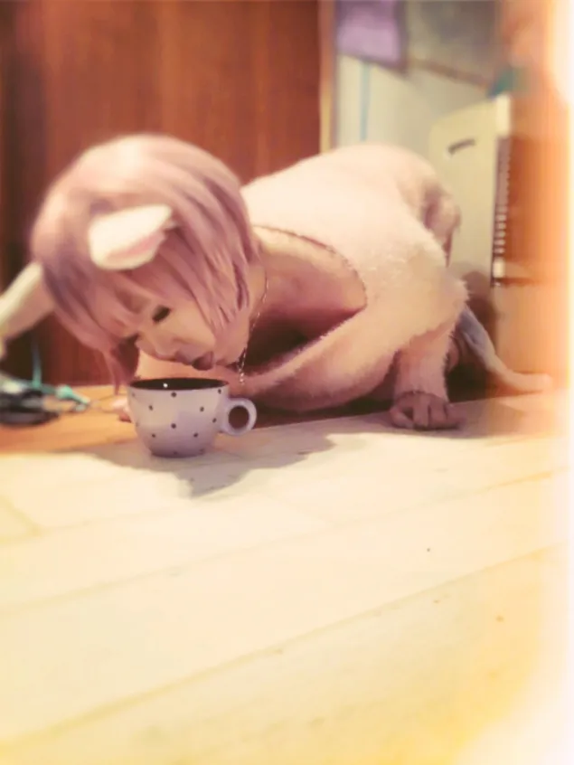 {Photo03}