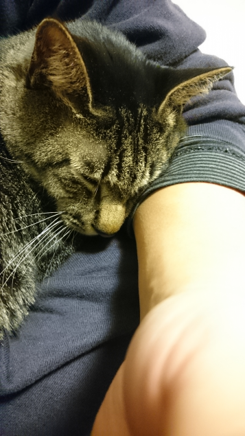 {Photo02}