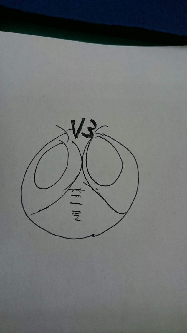 {Photo02}