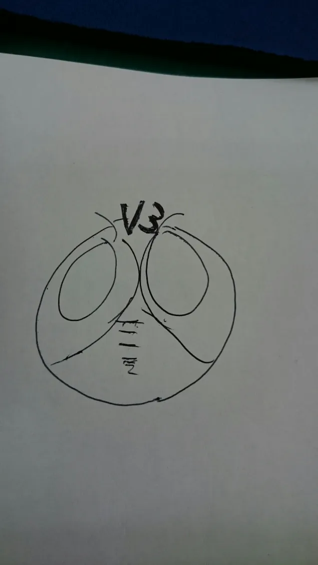 {Photo02}