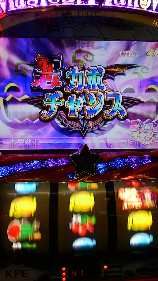 {Photo03}