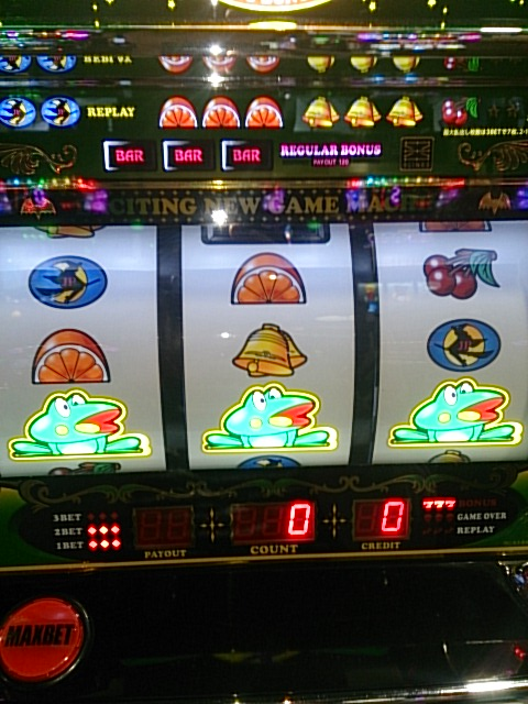 {Photo03}