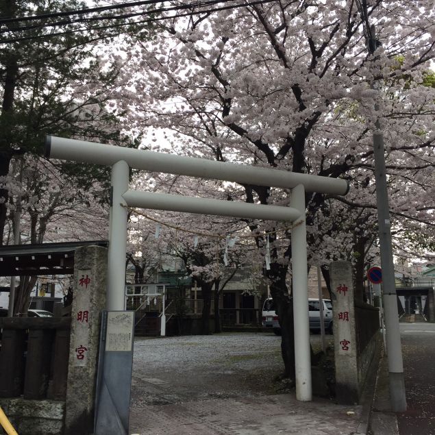 {Photo02}