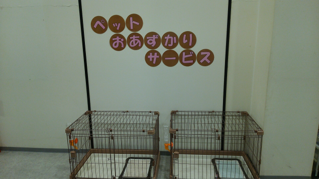 {Photo07}